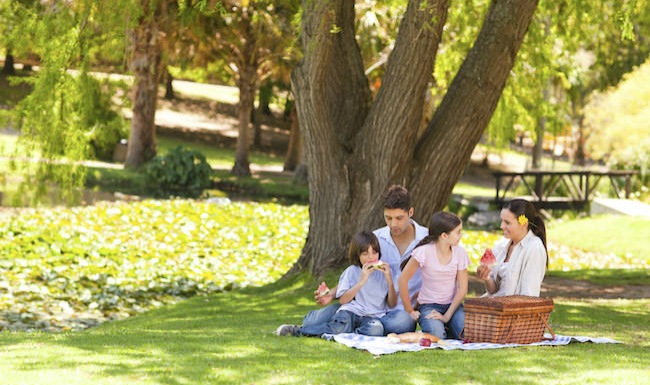 family of 4 having a picnic under a tree in a park